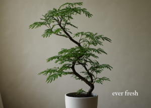 エヴァフレッシュの葉