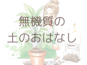 無機質の土の植え替えのページ