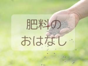 baseplantz推奨の観葉植物用「肥料」と「活力剤」の使い分け解説