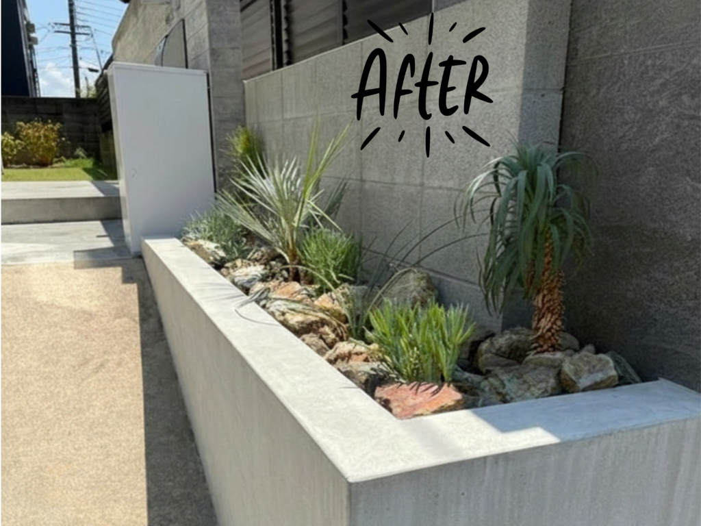 植え込み後の写真2