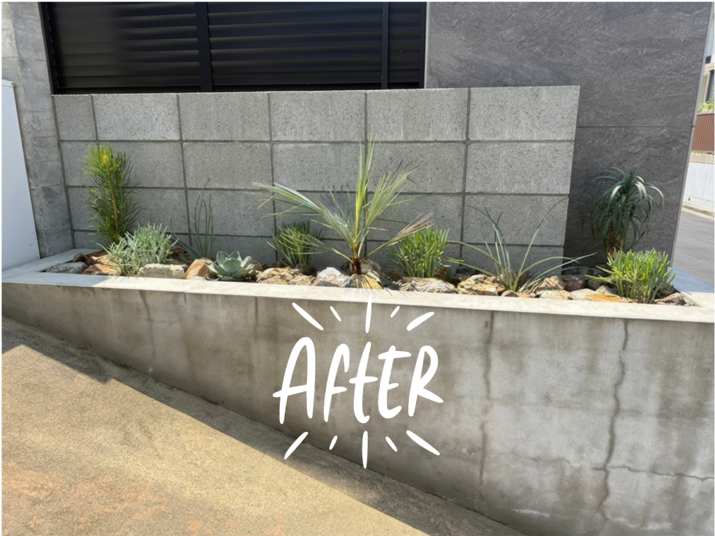植え込み後の写真1